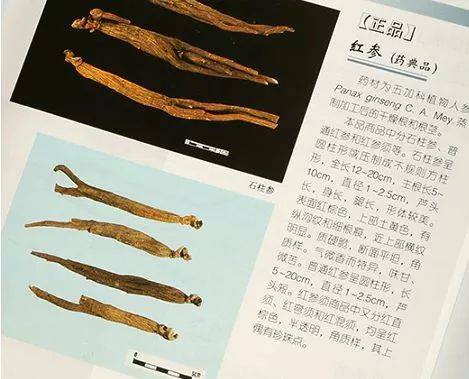 中医入门必看书_学中医入门最先看什么书_中医入门的书
