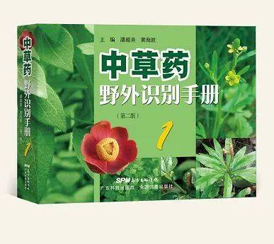 学中医入门最先看什么书_中医入门必看书_中医入门的书