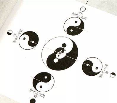 中医入门必看书_学中医入门最先看什么书_中医入门的书