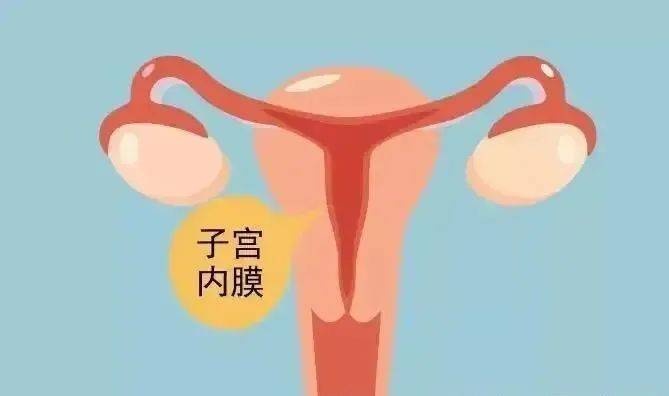 内膜增厚中医偏方_中医增厚内膜偏方治疗_增厚内膜的中药方
