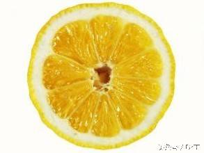 治感冒的中医小方_中医治疗感冒的民间小偏方_治感冒中医药方