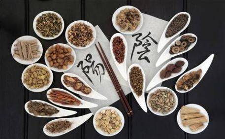 学中医入门应该从什么学起_入门中医想学什么专业_想学中医怎么入门