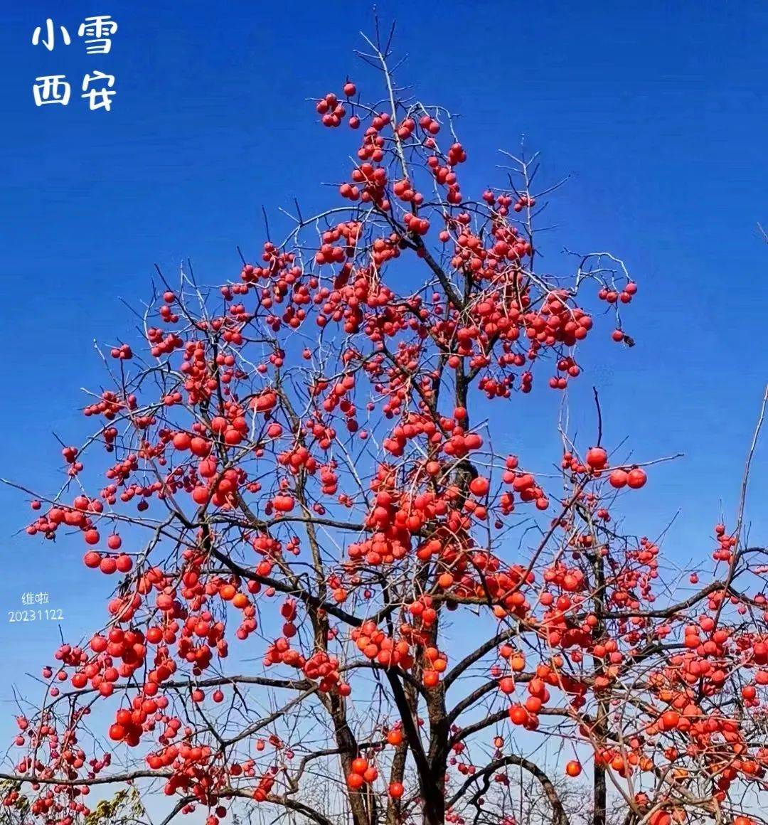 中医如何入门_入门中医必看经典书籍_入门中医的书一套5册