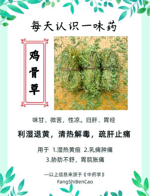 中医治骨刺偏方大全_中药治疗骨刺的药方_骨刺中医中药治疗偏方