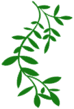 中医湿疹治疗偏方有哪些_中医治疗湿疹偏方_中医治疗湿疹特效验方