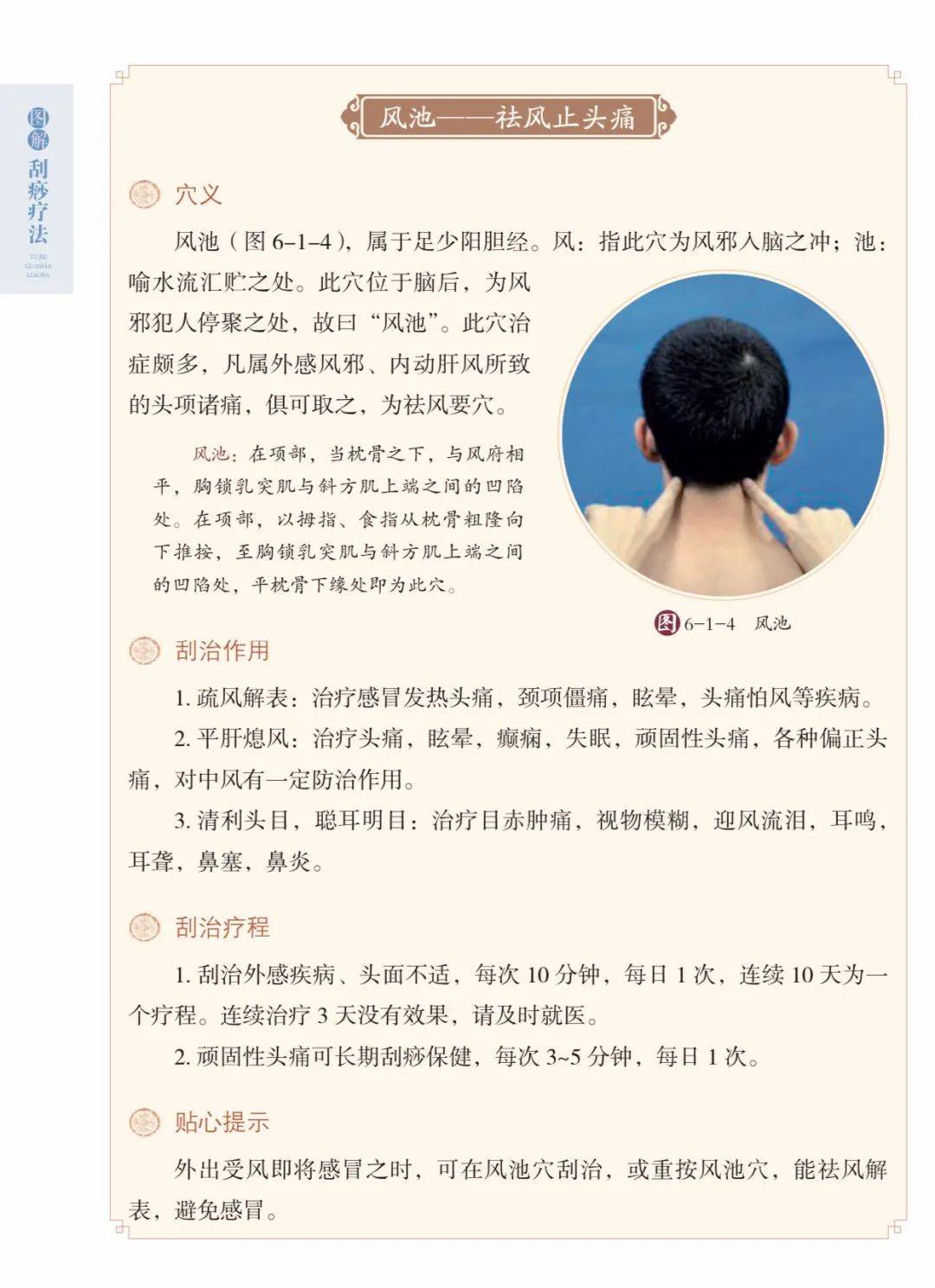 中医入门丛书_入门中医必看经典书籍_中医入门这本书