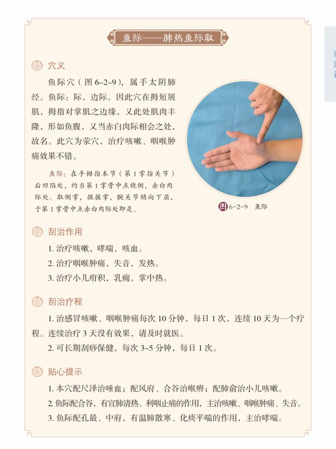 中医入门这本书_入门中医必看经典书籍_中医入门丛书