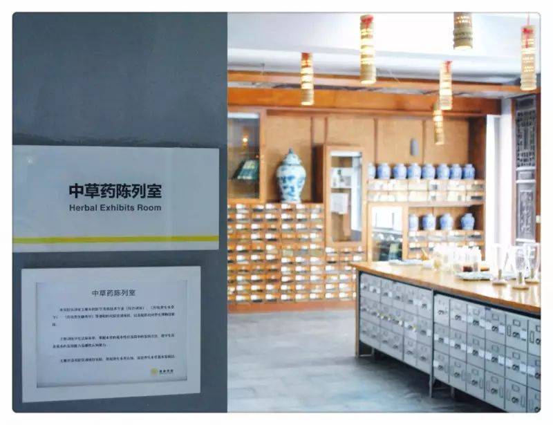 养生中医美容店名字_中医养生美容教程_中医养生与美容