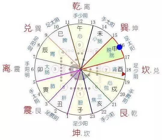中医养生茶_养生中医茶直播_养生中医茶饮有哪些