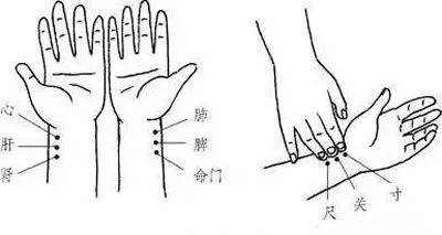 中医诊脉入门看什么书_中医脉诊从入门到精通_如何学中医诊脉入门