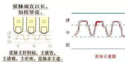 如何学中医诊脉入门_中医诊脉入门看什么书_中医脉诊从入门到精通