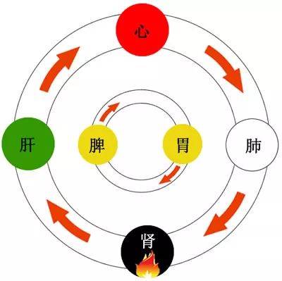 中医脉诊从入门到精通_如何学中医诊脉入门_中医诊脉入门看什么书