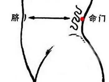 如何学中医诊脉入门_中医脉诊从入门到精通_中医诊脉入门看什么书