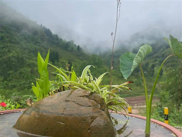 中医推拿入门_中医基础推拿手法视频教学_中医推拿教程