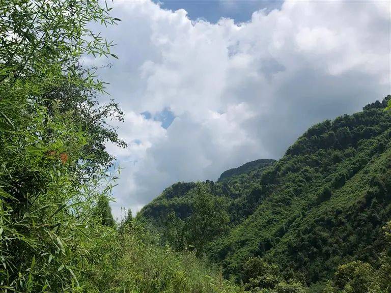 中医基础推拿手法视频教学_中医推拿教程_中医推拿入门