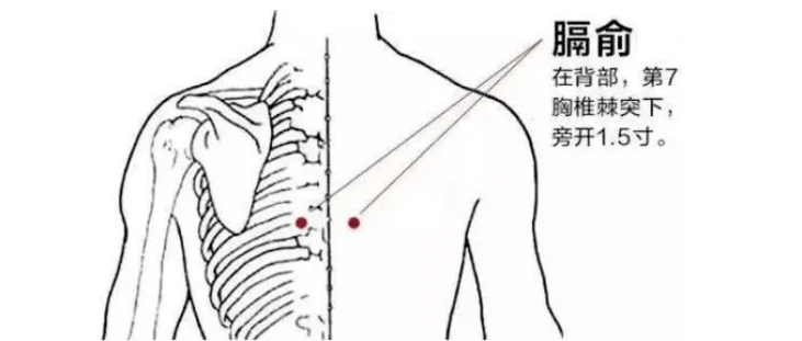 中医体质养生_体质中医_体质养生中医书籍推荐
