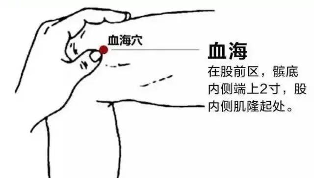 体质养生中医书籍推荐_中医体质养生_体质中医