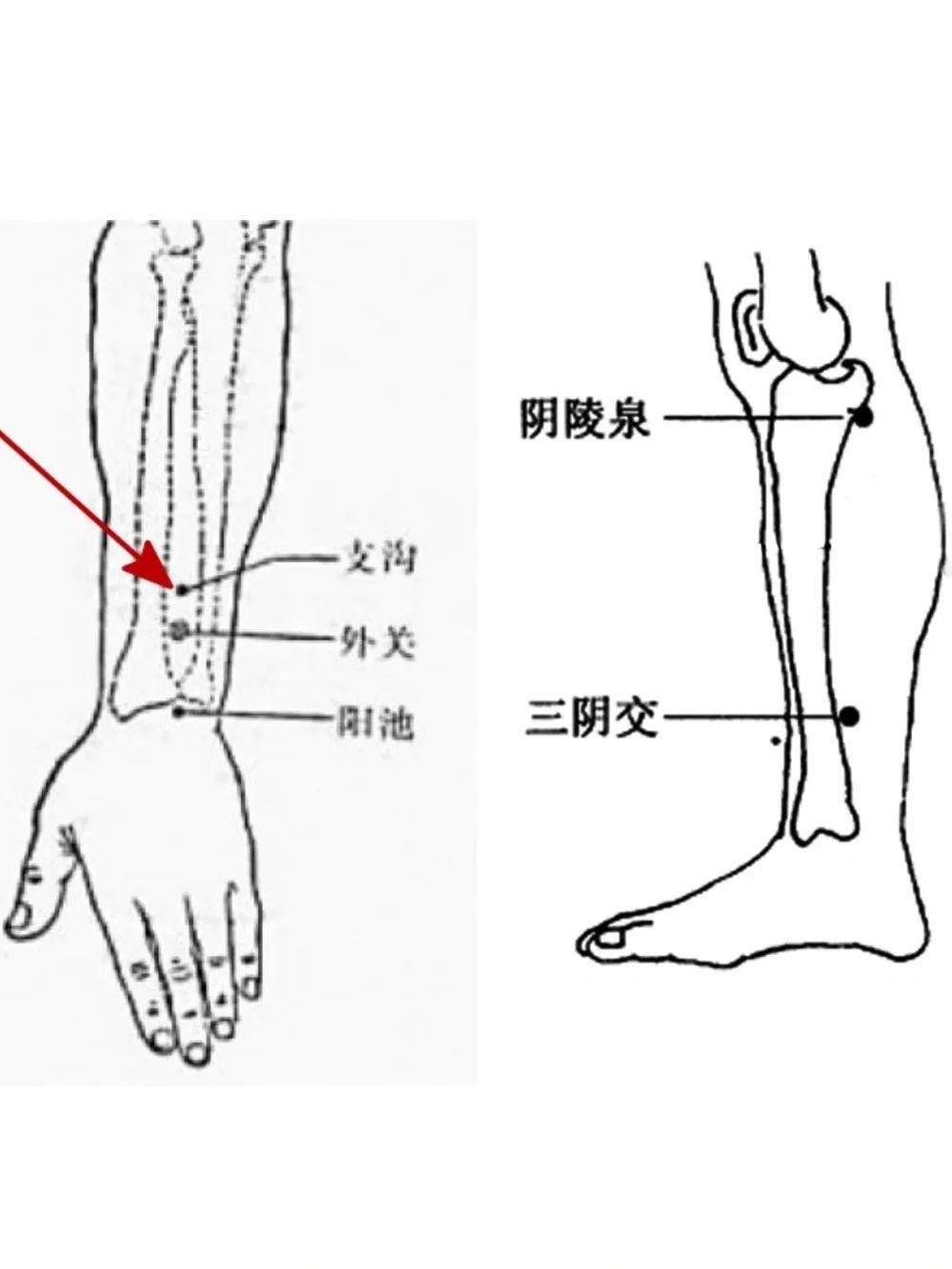 体质调理中医_中医体质养生_中医体质养生在线阅读
