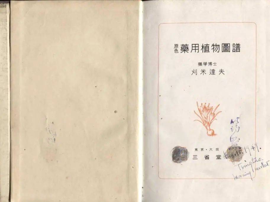 中医怎么治龋齿牙疼_中医如何治龋齿_中医治疗龋齿牙医案