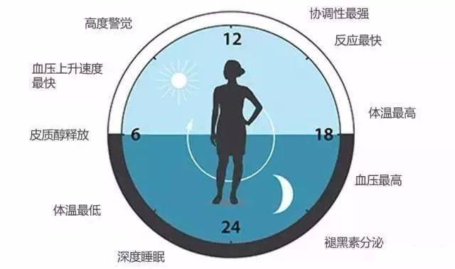 中医 养生_养生中医茶_养生中医调理