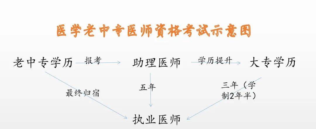 报考中医助理医师条件_2021年助理中医师报考条件_中医助理医师报名要求