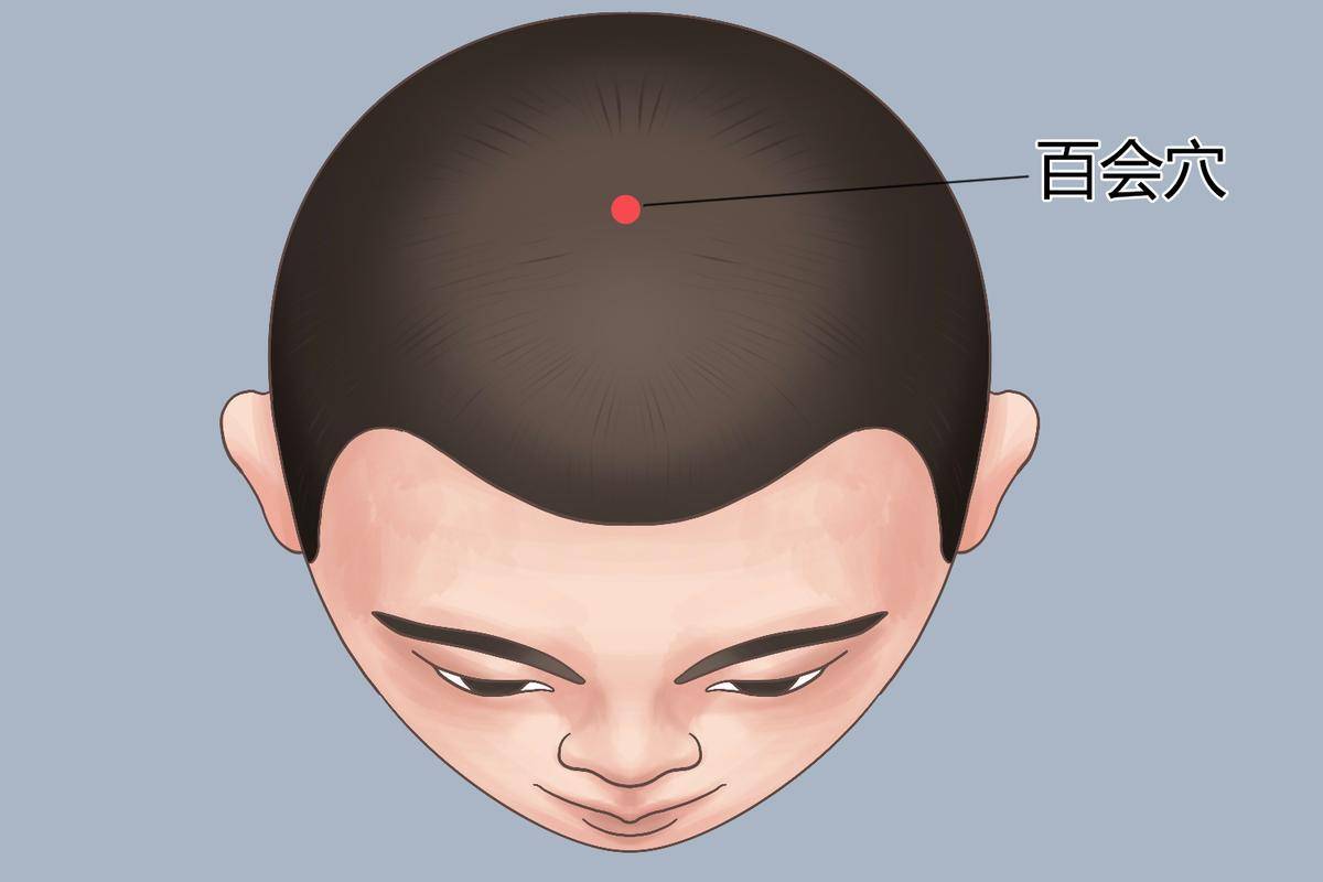 中医基础理论教材书_中医教材理论基础pdf_中医基础理论教材