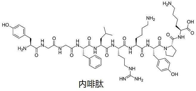 中医基础理论教材_中医基础理论教材书_中医教材理论基础pdf