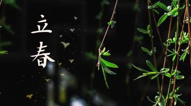 中医养生药膳及配方_养生中医食谱大全药膳图片_中医养生药膳食谱大全