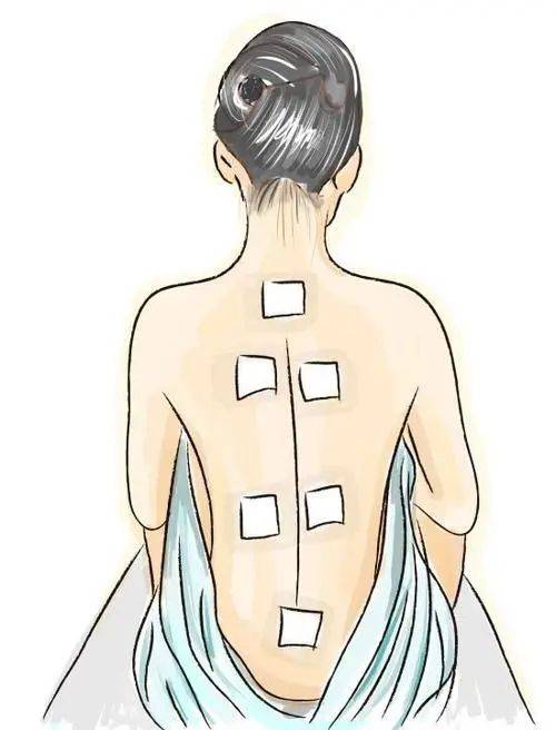 零基础如何学中医_中医基础学教材_中医基础学岳美中1955