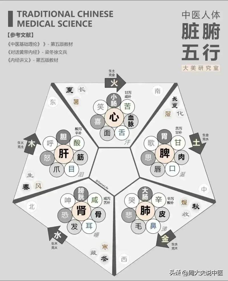中医基础理论书_中医理论基础书本_中医理论基础书籍