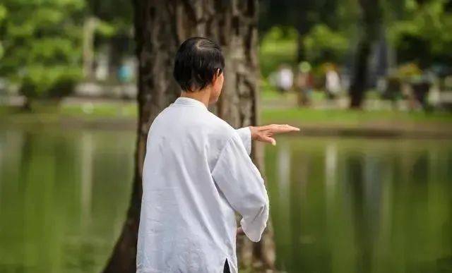 养生中医_中医养生知识大全_中医养生知识百科全书