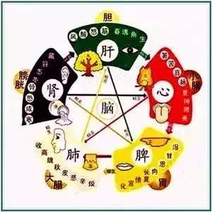 失眠中医治疗方法_中医治疗失眠_失眠中医治疗原则