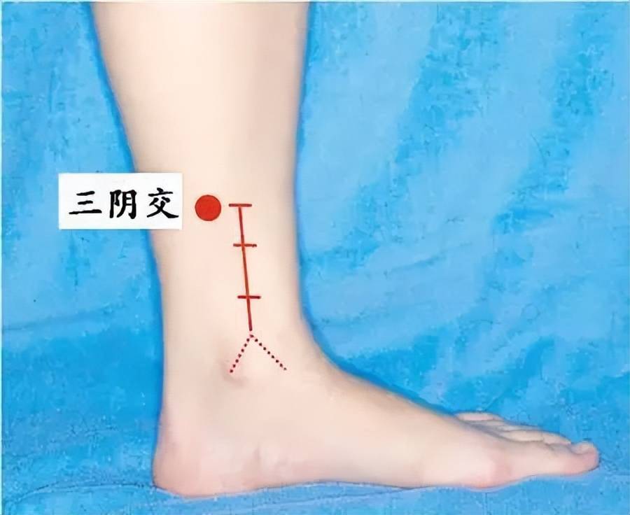 失眠中医分几种类型_中医失眠分哪几种类型_失眠中医分类