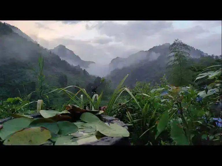 失眠最好的针灸治疗方法_失眠针灸治疗原则_失眠中医针灸治疗方法