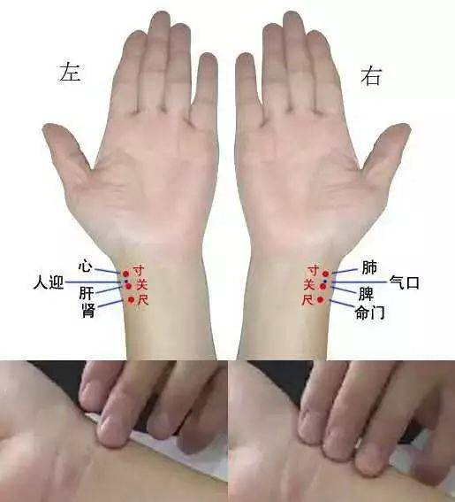 中医把脉怎么学_中医把脉自学教程_如何学习中医把脉?