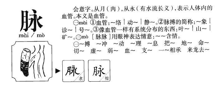 中医把脉时摸的是静脉还是动脉_把脉静脉还是动脉_中医摸静脉还是动脉