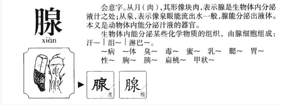 中医把脉时摸的是静脉还是动脉_把脉静脉还是动脉_中医摸静脉还是动脉