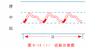 中医把脉图片_中医把脉图片大全大图_中医把脉图片真实