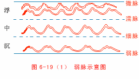 中医把脉图片真实_中医把脉图片_中医把脉图片大全大图