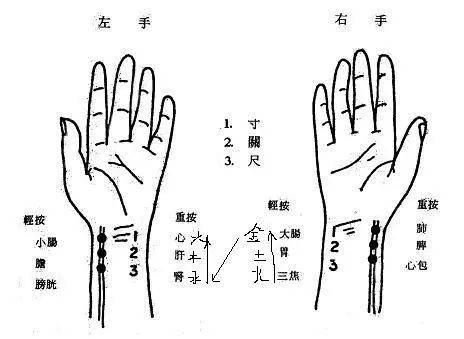 中医把脉图片大全大图_中医把脉图片真实_中医把脉图片