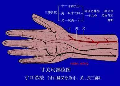 中医把脉图片真实_中医把脉图片_中医把脉图片大全大图