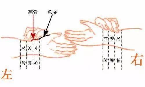 中医把脉图片大全大图_中医把脉图片真实_中医把脉图片
