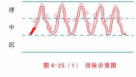 中医原理把脉图解_中医把脉的原理_中医原理把脉视频