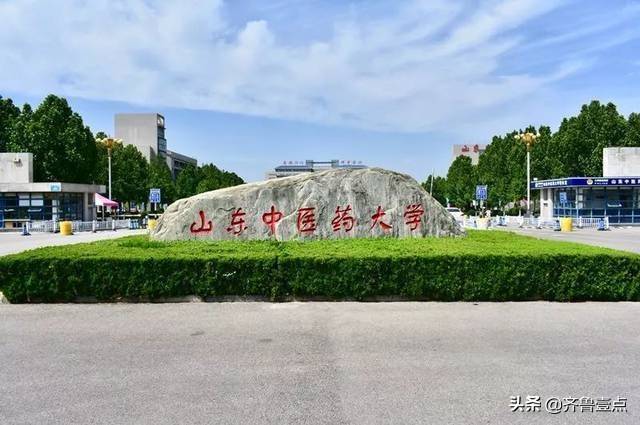 山东大学中医药大学_山东中医药大学怎么样_山东大学药科