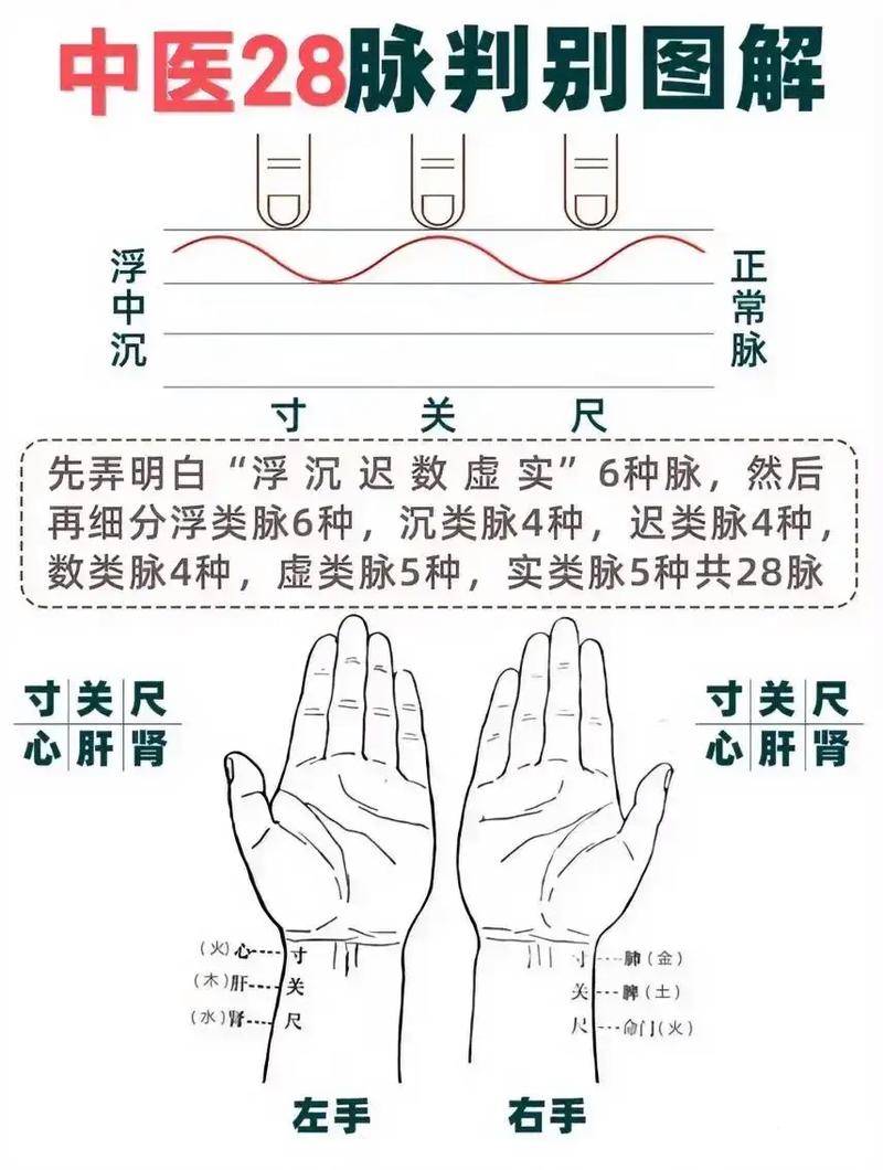 中医把脉左弱右强一定是女孩_中医辨证左脉弱右脉强_中医把脉说左脉强右脉弱什么原因