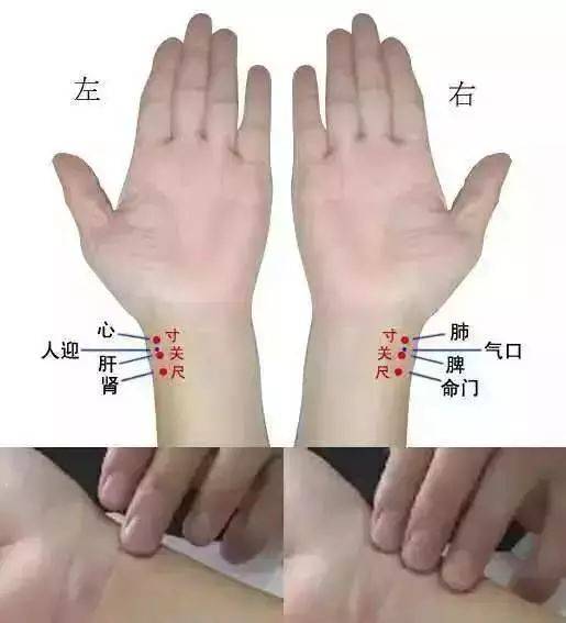 学中医把脉入门_中医把脉学问_如何学习中医把脉?