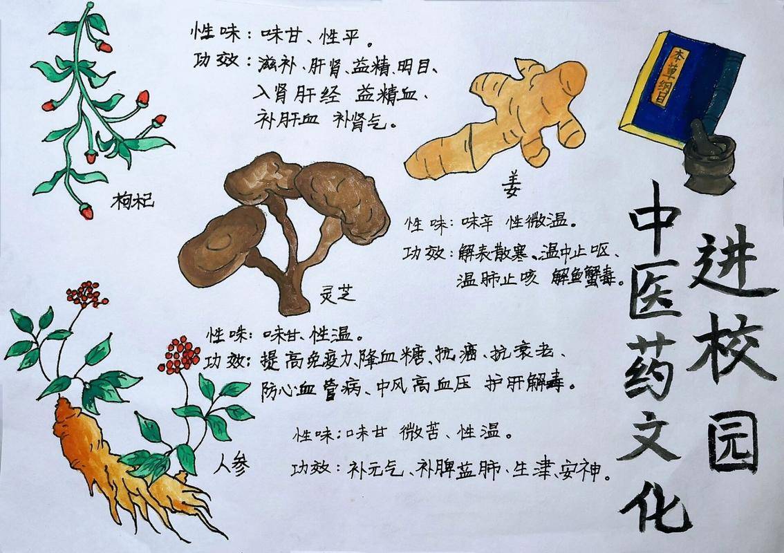 中医药文化绘画_医药绘画大赛_医药文化墙