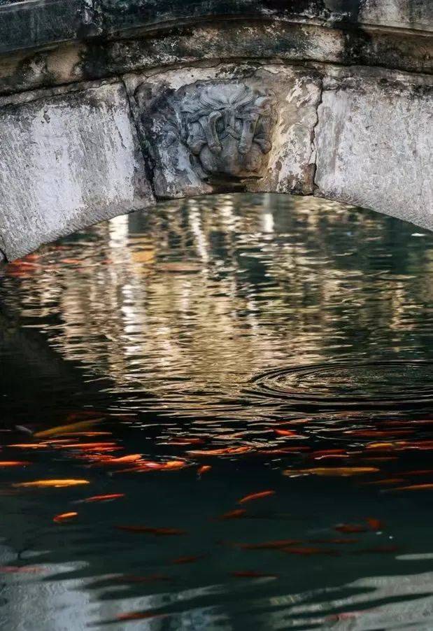 医药健康包括哪些_中医药健康文化_医药文化的概念