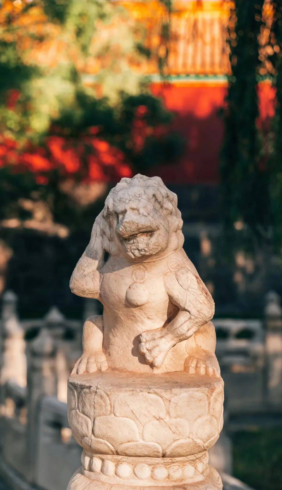 医药文化的概念_中医药健康文化_医药健康包括哪些