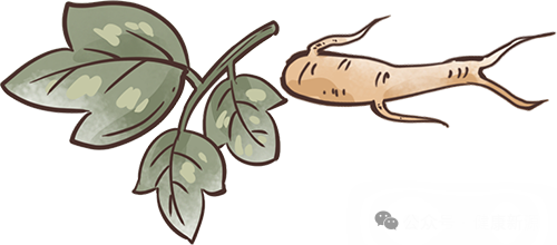 中医药文化创意作品设计_医药文创产品_医药创意广告图片